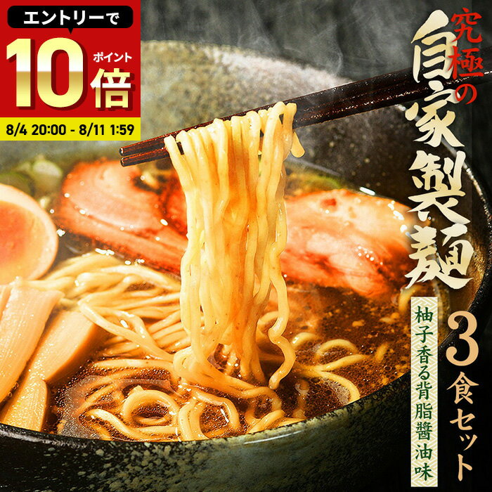 【 8月7日（木）～ セール価格1,080円 】送料無料 ラーメン 送料無料 メール便 お試し ラーメン つけ麺＼製麺処だからこそ出来た贅沢＆プレミアムラーメン／≪究極の自家製麺（背脂醤油味）3食セット≫